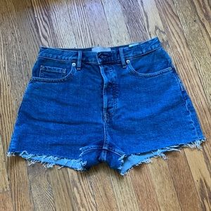 Everlane Cheeky Denim Short